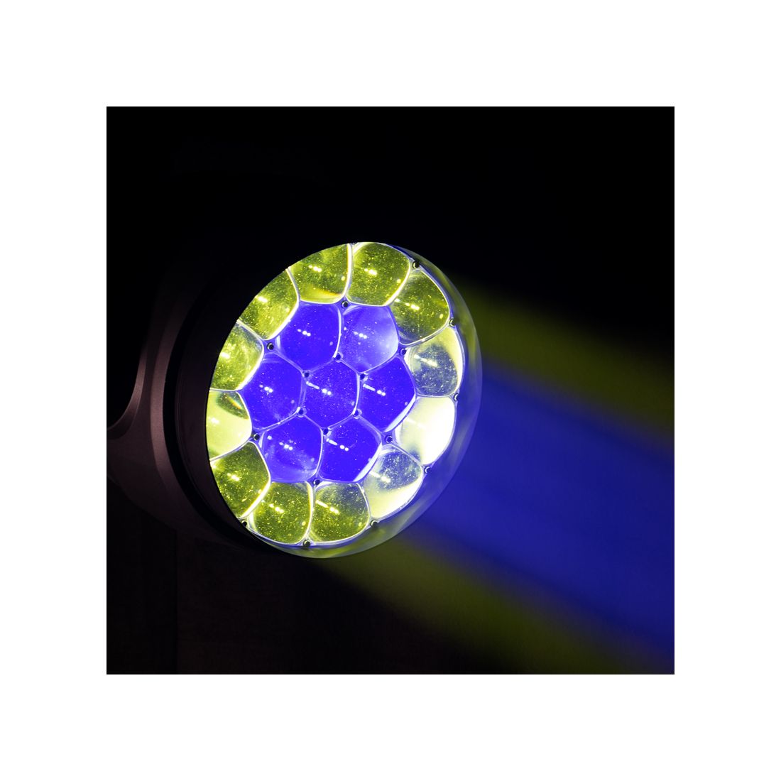 Focus Flex L19 - ADJ Norge